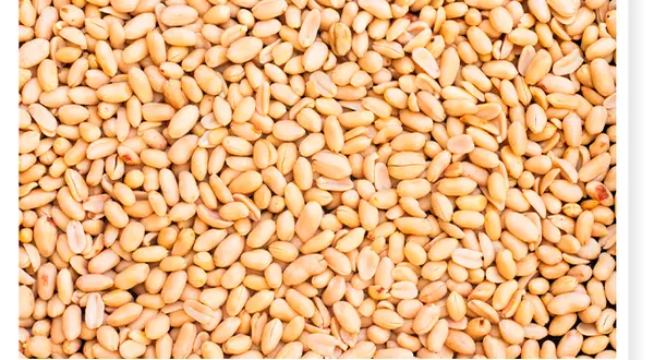 Maîtrisez les cacahuètes grillées non salées : sain, facile, délicieux