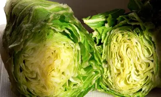 Chicorée pain de sucre : adieu l'amertume, bonjour les saveurs !